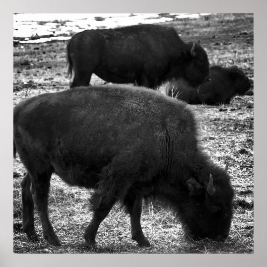 竜花 ポスター (正面)