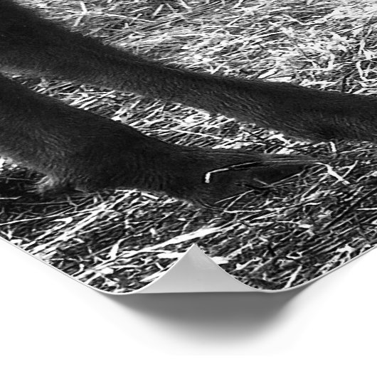 竜花 ポスター (角)