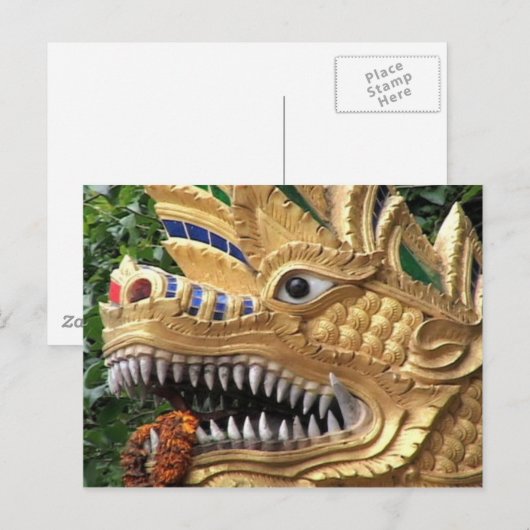 竜 ポストカード (正面/裏面)