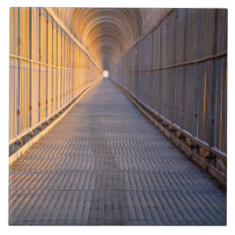 端の大きい(6" X 6")写真のタイルのライト タイル