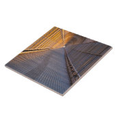 端の大きい(6" X 6")写真のタイルのライト タイル (側面)