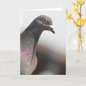 競争ハト カード (黄色い花)