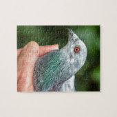 競争ハトoutside.JPGを握る手 ジグソーパズル (横)