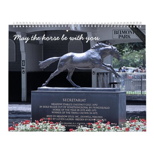 競争ファン カレンダー (カバー)