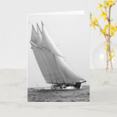 競争ヨットAtlantic 1904年 カード (黄色い花)