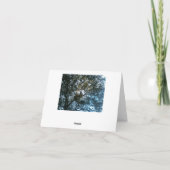 競合解決ノートカード カード (裏面)