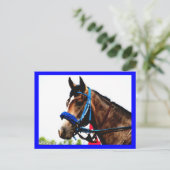 競走馬のポストカード ポストカード (スタンド正面)