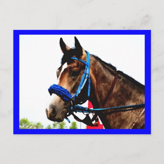 競走馬のポストカード ポストカード (正面)