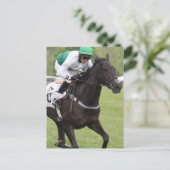 競走馬はがき ポストカード (スタンド正面)