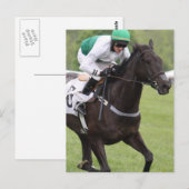 競走馬はがき ポストカード (正面/裏面)