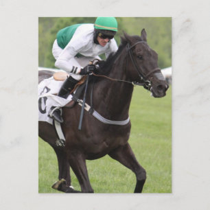 競走馬はがき ポストカード