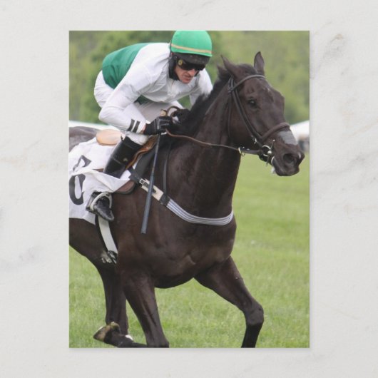 競走馬はがき ポストカード (正面)