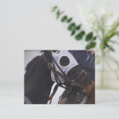 競走馬はがき ポストカード (スタンド正面)