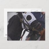 競走馬はがき ポストカード (正面/裏面)