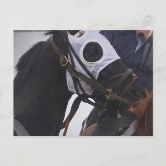 競走馬はがき ポストカード (正面)
