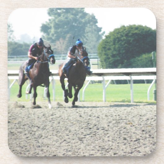 競走馬コースター コースター (正面)