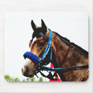 競走馬マウスパッド マウスパッド