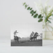 競走馬 ポストカード (スタンド正面)
