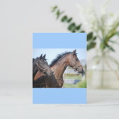 競馬のゴールライン ポストカード (スタンド正面)