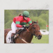 競馬はがき ポストカード (正面)