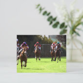 競馬はがき ポストカード (スタンド正面)