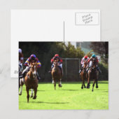 競馬はがき ポストカード (正面/裏面)