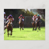 競馬はがき ポストカード (正面)