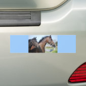 競馬フィニッシュライン バンパーステッカー (車上)
