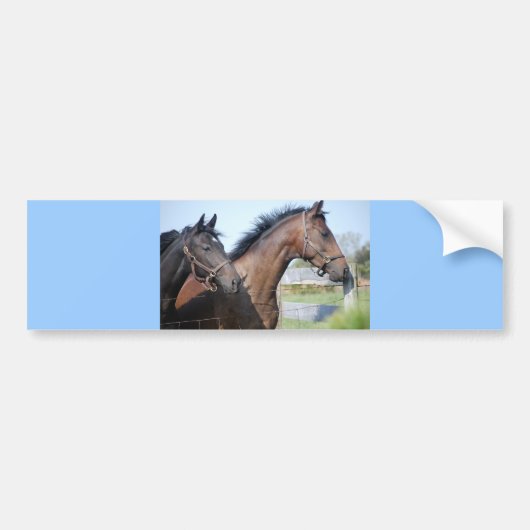 競馬フィニッシュライン バンパーステッカー (正面)