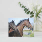 競馬フィニッシュライン ポストカード (スタンド正面)