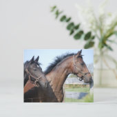 競馬フィニッシュライン ポストカード (スタンド正面)