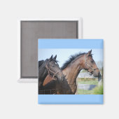 競馬フィニッシュライン マグネット (正面/裏面)