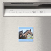 競馬フィニッシュライン マグネット (インサイチュ (食洗機))