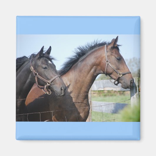 競馬フィニッシュライン マグネット (正面)