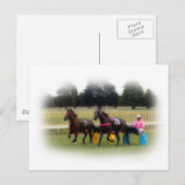 競馬場の標準校 ポストカード (正面/裏面)