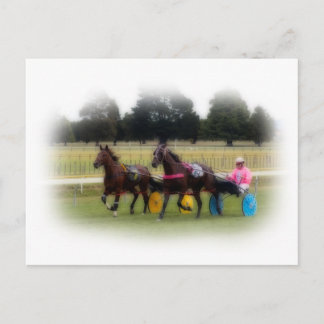 競馬場の標準校 ポストカード