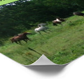 競馬救助支援ポスター ポスター (角)