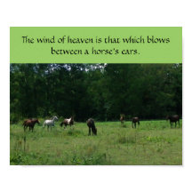 競馬救助支援ポスター