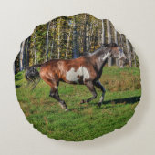 競馬絵を描場のピント・スタリオン ラウンドクッション (裏面)