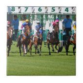 競馬離れ馬門 タイル (正面)