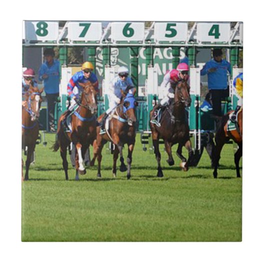 競馬離れ馬門 タイル (正面)