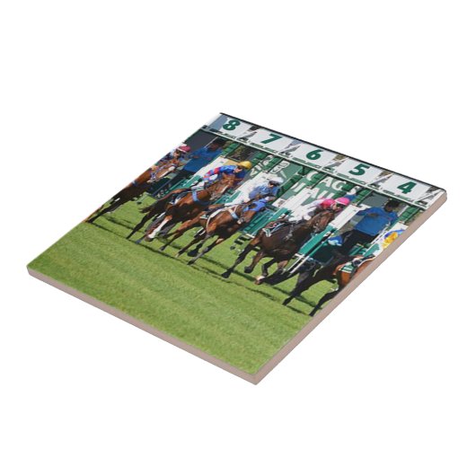 競馬離れ馬門 タイル (側面)