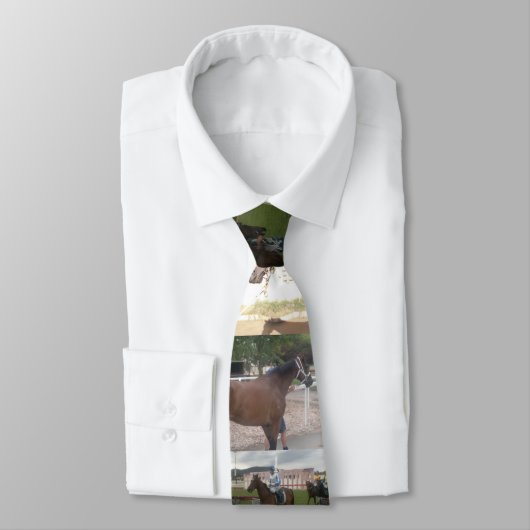 競馬馬 ネクタイ (タイ)