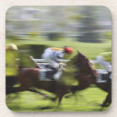 競馬2 コースター (正面)