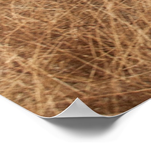 競馬 ポスター (角)