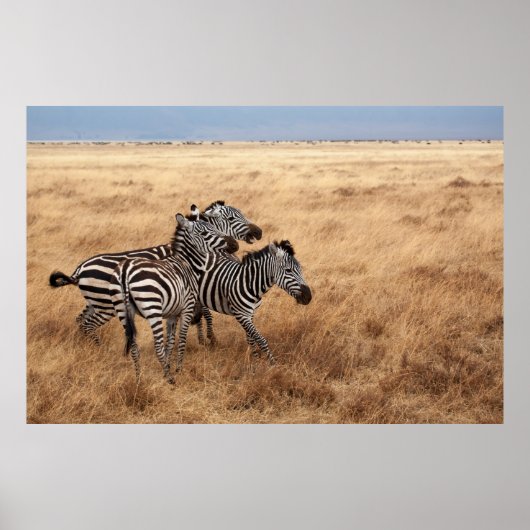 競馬 ポスター (正面)