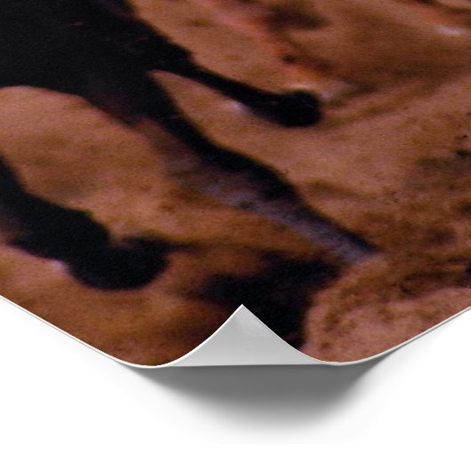 競馬 ポスター (角)