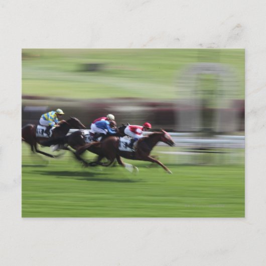 競馬 ポストカード (正面)