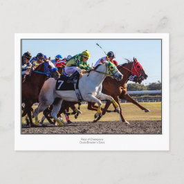 競馬 ポストカード