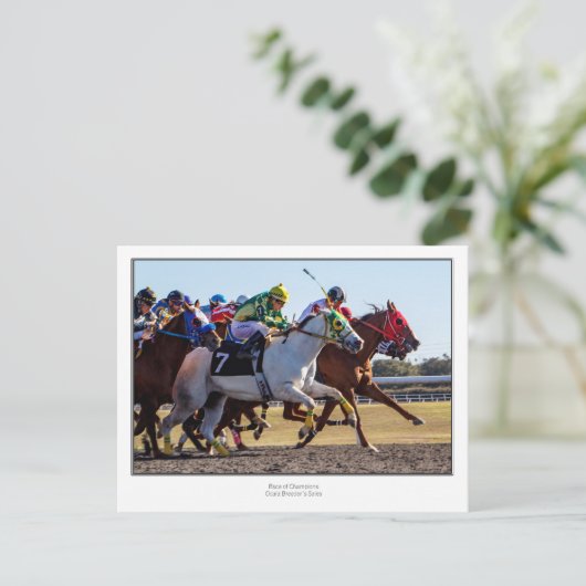競馬 ポストカード (スタンド正面)